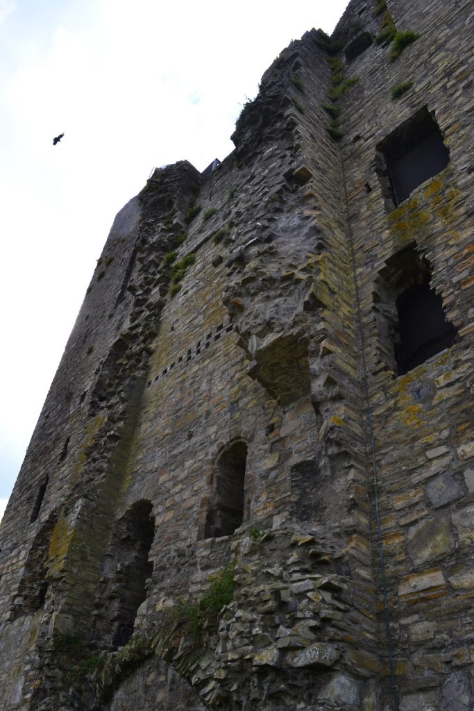 Photo of Trim Castle