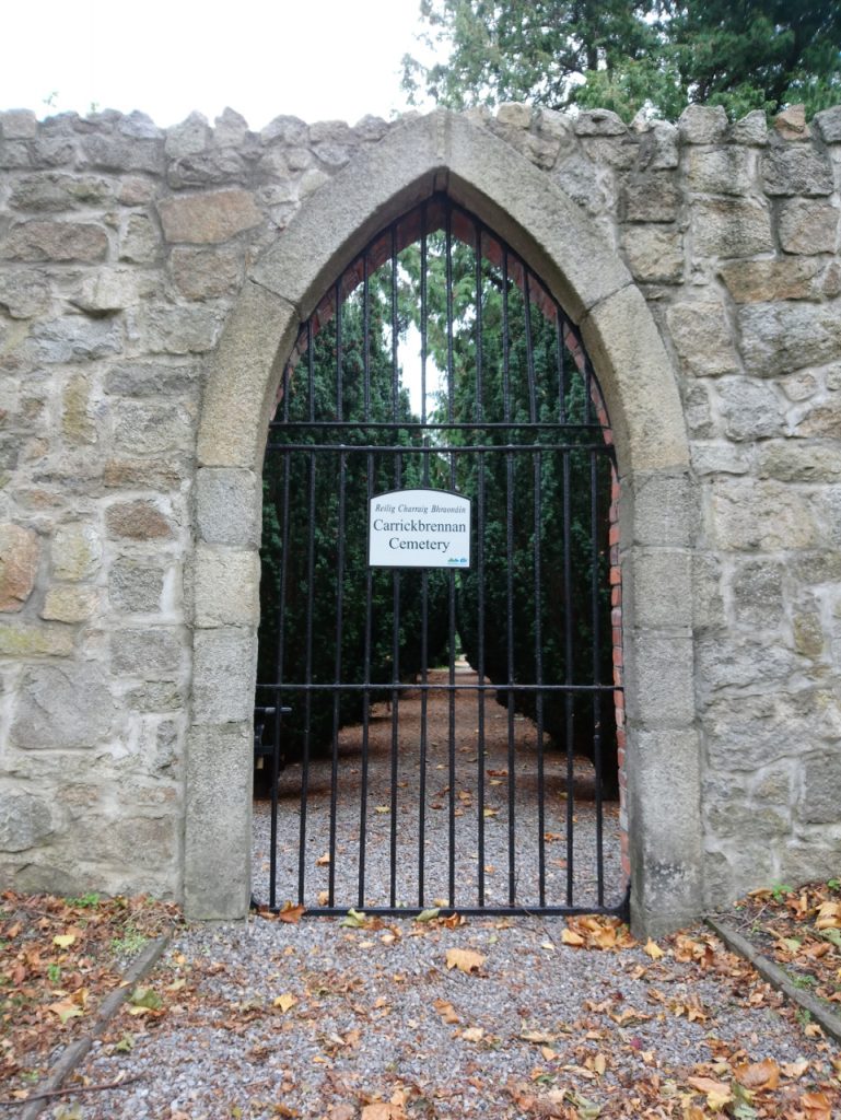 Carrickbrennan Library