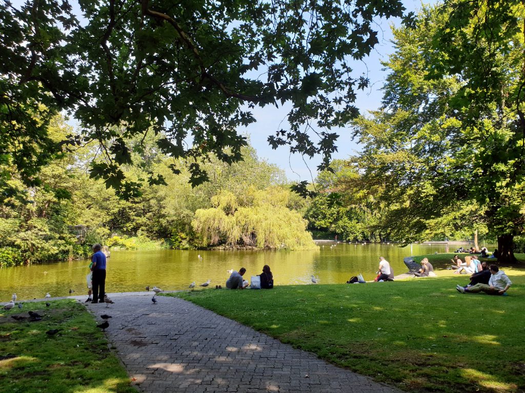 Photo of the duck pond